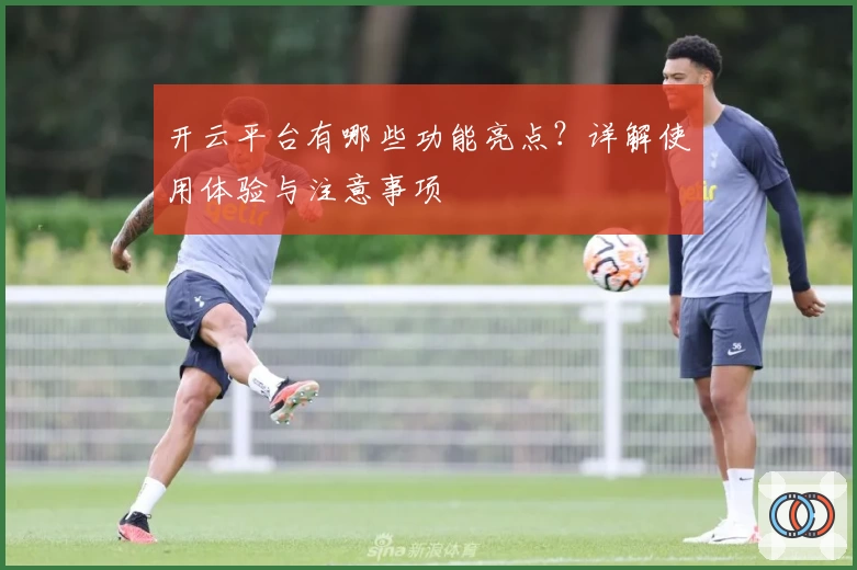 开云平台有哪些功能亮点?详解使用体验与注意事项
