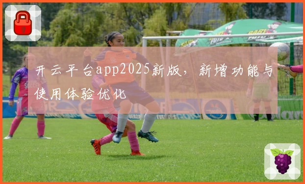 开云平台app2025新版，新增功能与使用体验优化