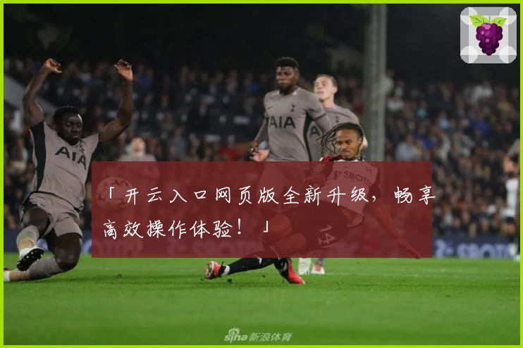 「开云入口网页版全新升级，畅享高效操作体验！」