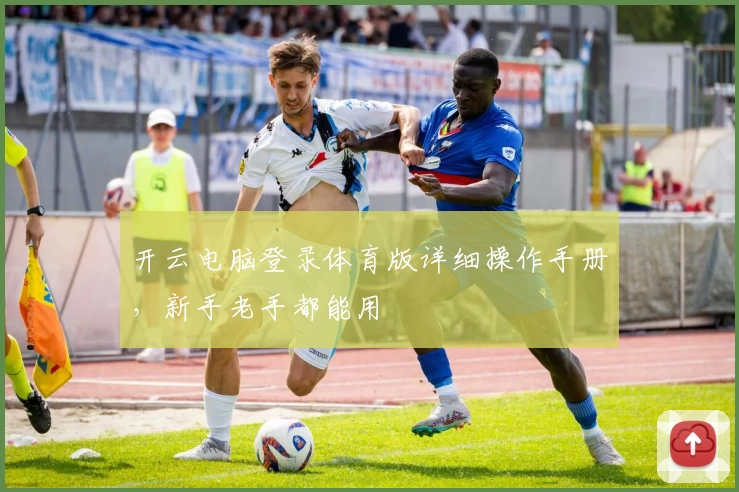 开云电脑登录体育版详细操作手册，新手老手都能用