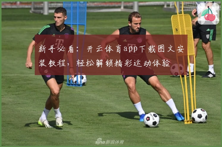 新手必看：开云体育app下载图文安装教程，轻松解锁精彩运动体验