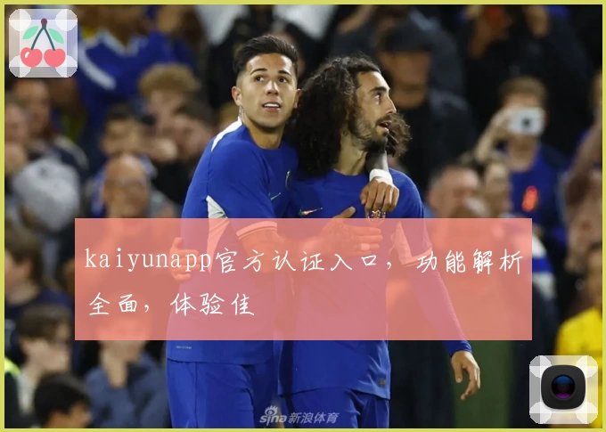 kaiyunapp官方认证入口，功能解析全面，体验佳